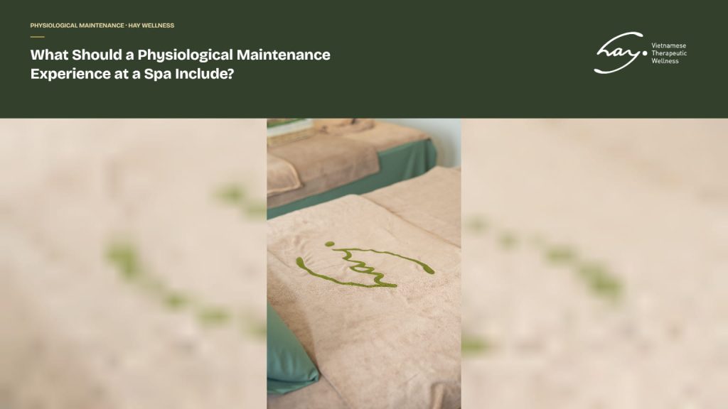 What Should a Physiological Maintenance Experience at a Spa Include?